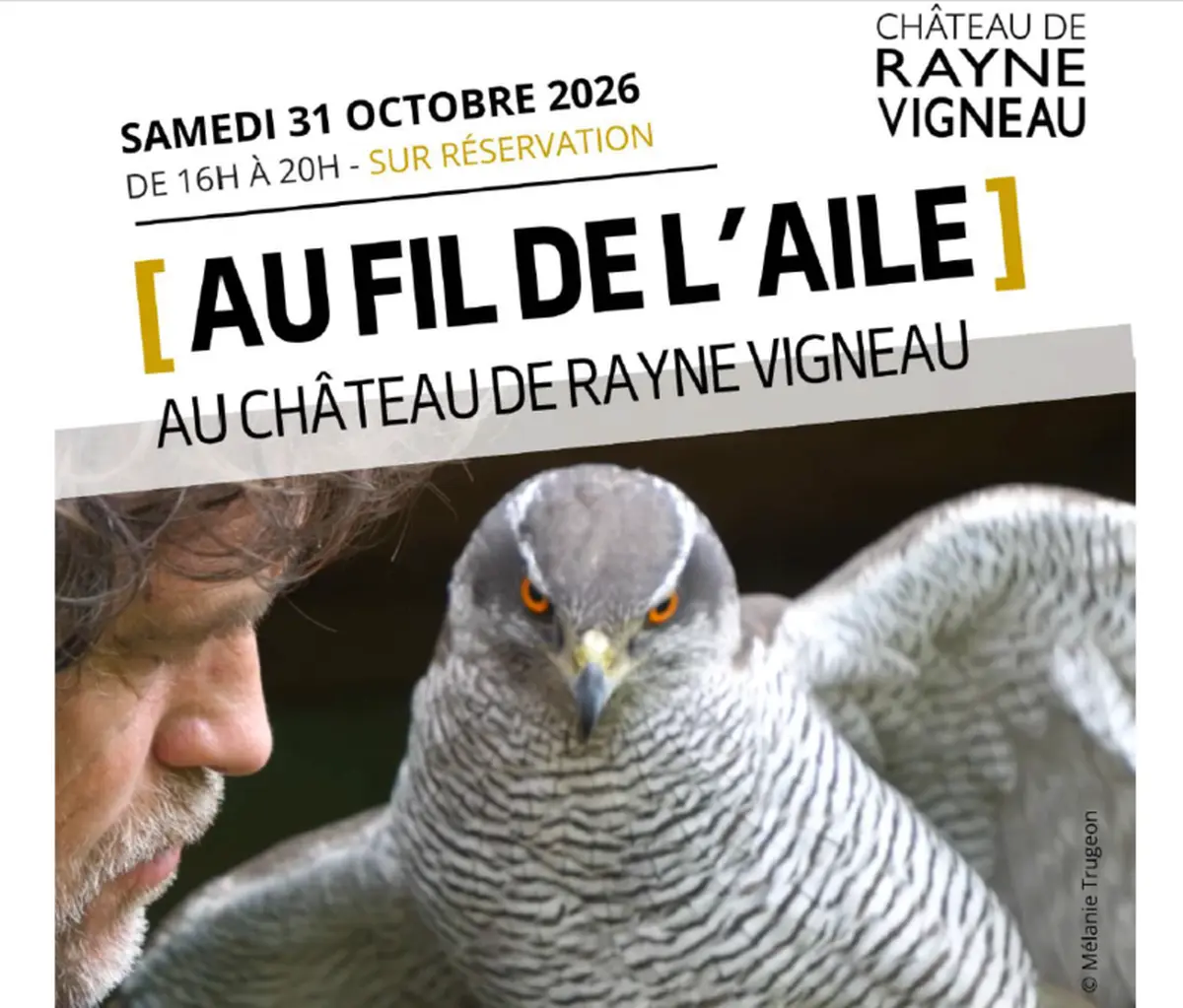 Au fil de l'aile