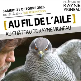 Au fil de l'aile
