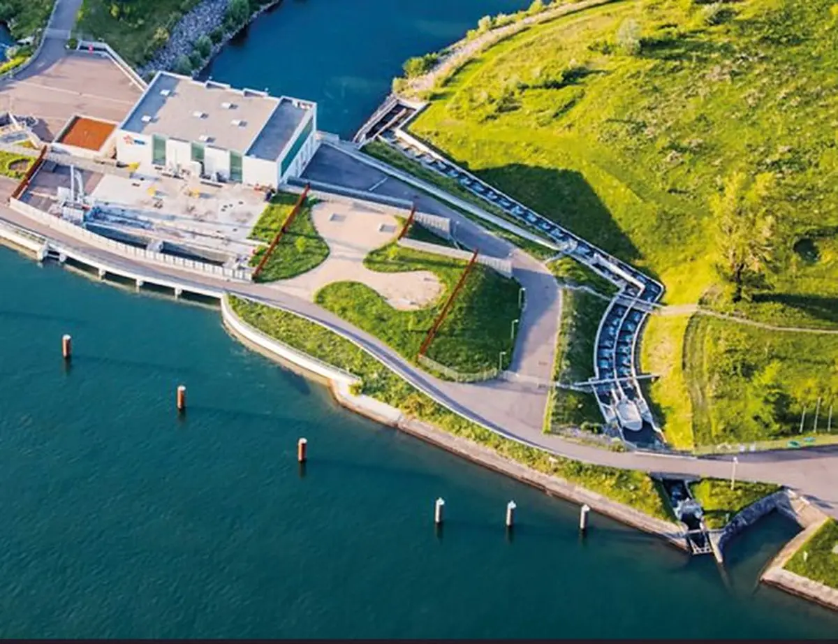 Le Petit Rhin, vu d'en haut