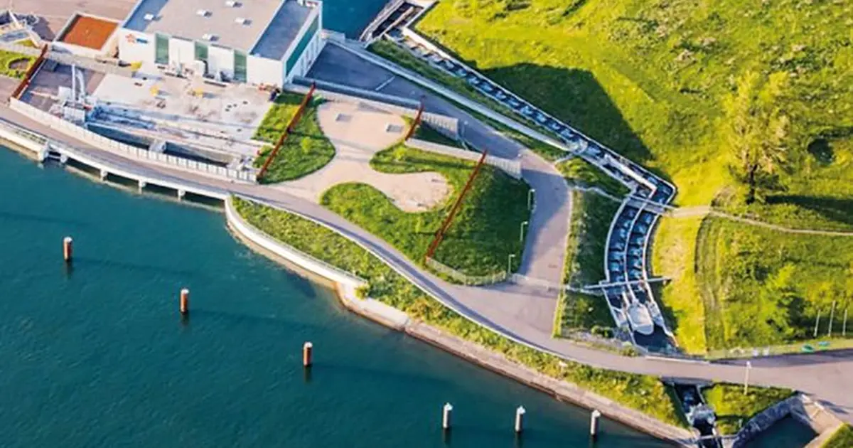 Au fil du Petit Rhin : 10 ans d’énergie et de nature | Fête de la ...