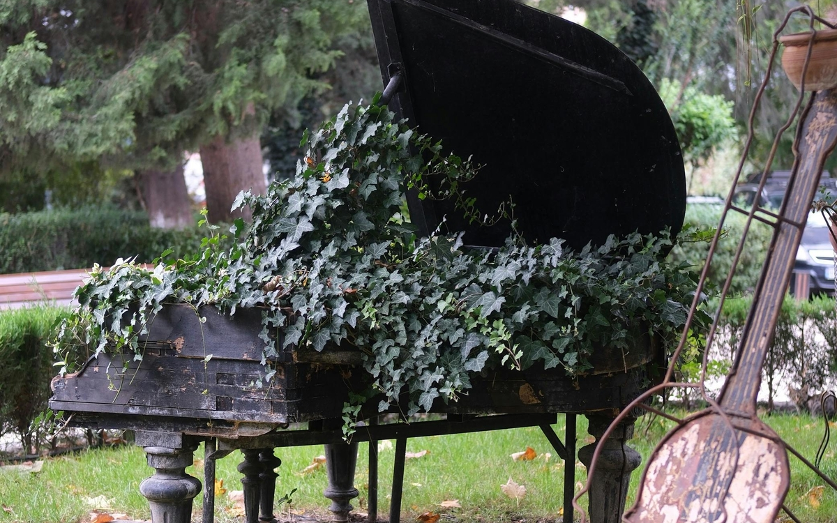 Au jardin !