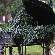 Au jardin !