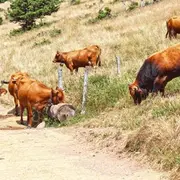 Escapade au Petit Ballon