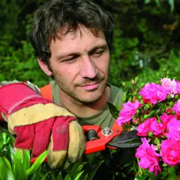 Au nom de la rose