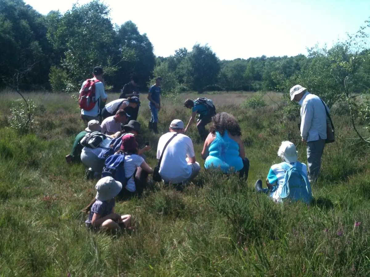 Au pays des plantes carnivores à la lande des Cent Vergées