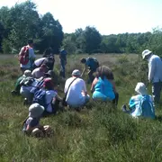 Au pays des plantes carnivores à la lande des Cent Vergées