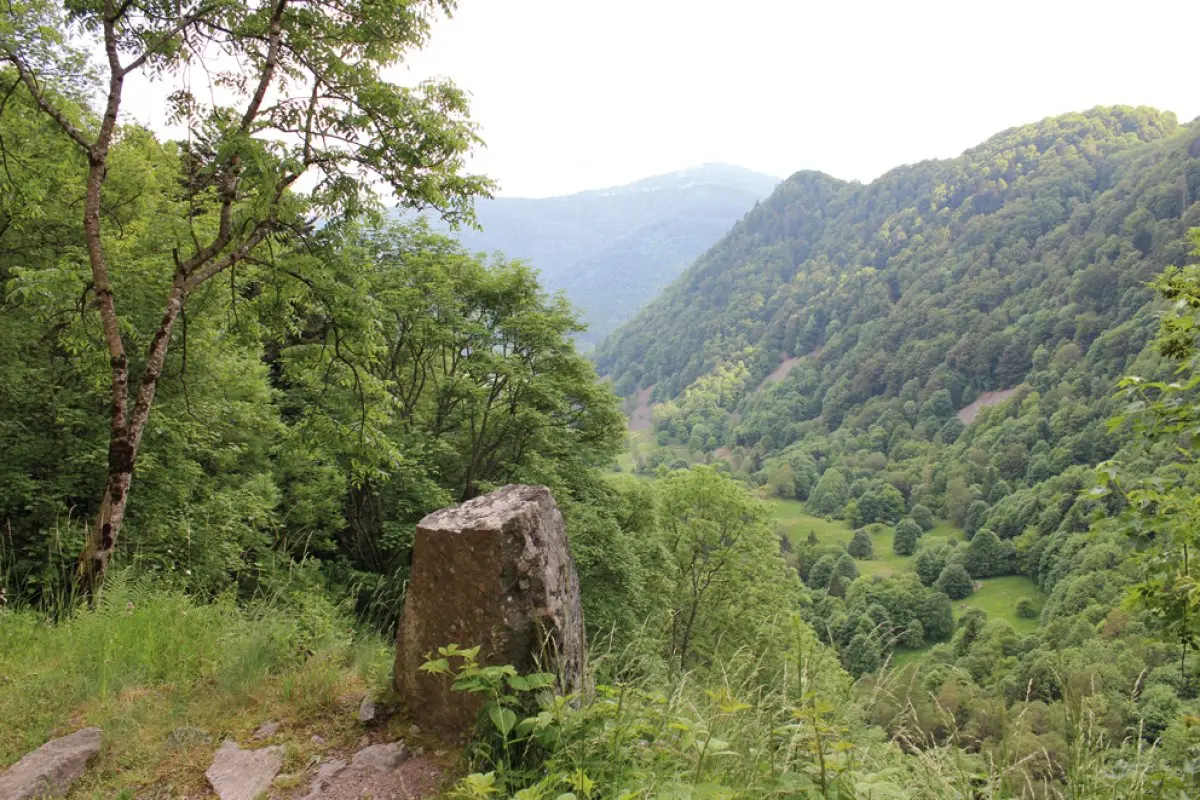 Le chemin François, en direction de Mitzeral