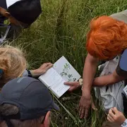 Au royaume des orchidées
