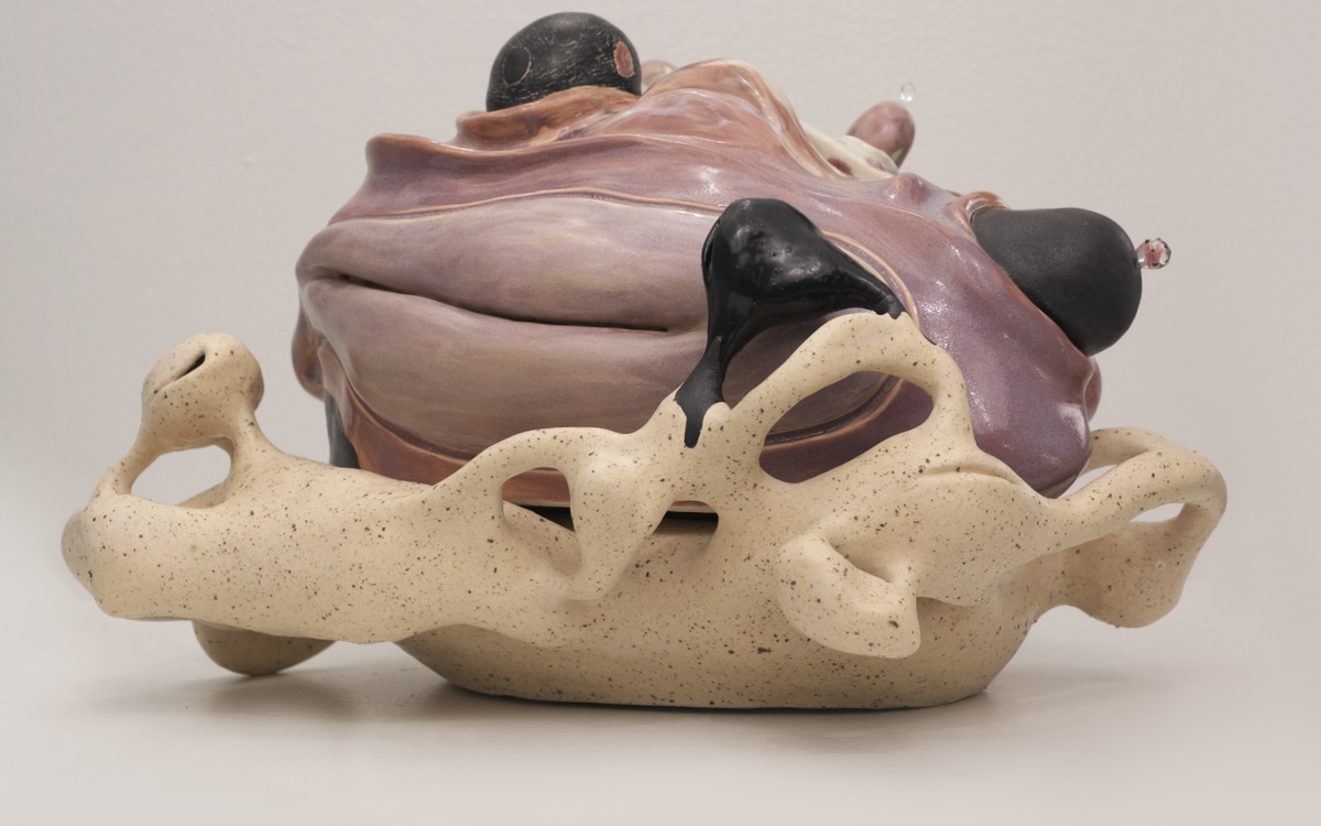 © Silvina Cortés Lasalle