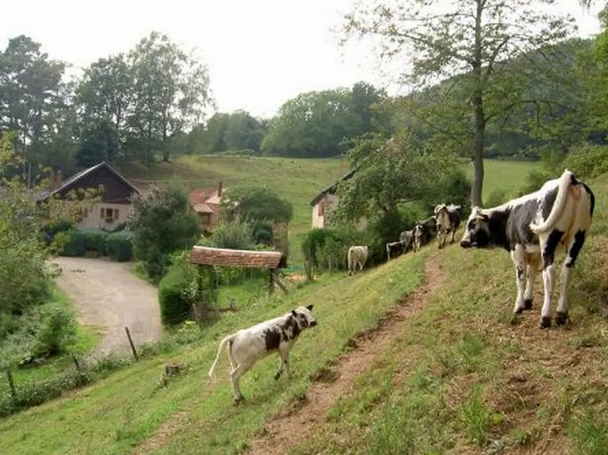 Auberge Pierreusegoutte - fermée