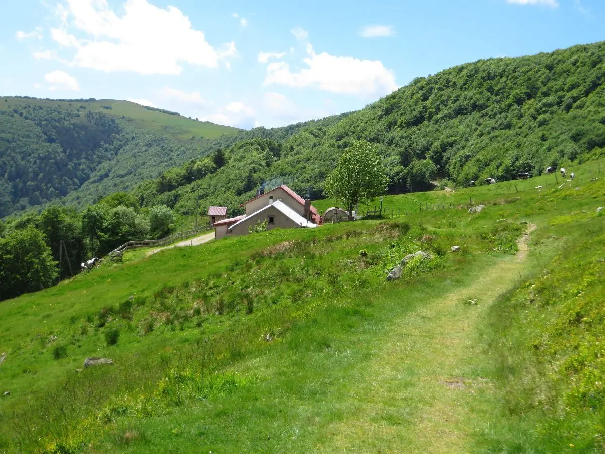 La ferme auberge du Steinwasen