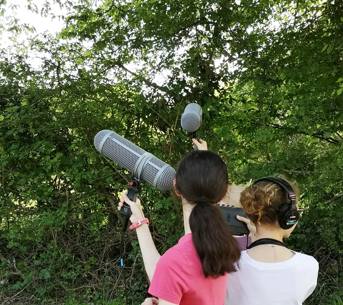 Audio-naturaliste en herbe