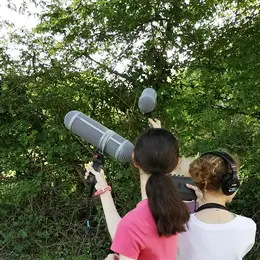 Audio-naturaliste en herbe