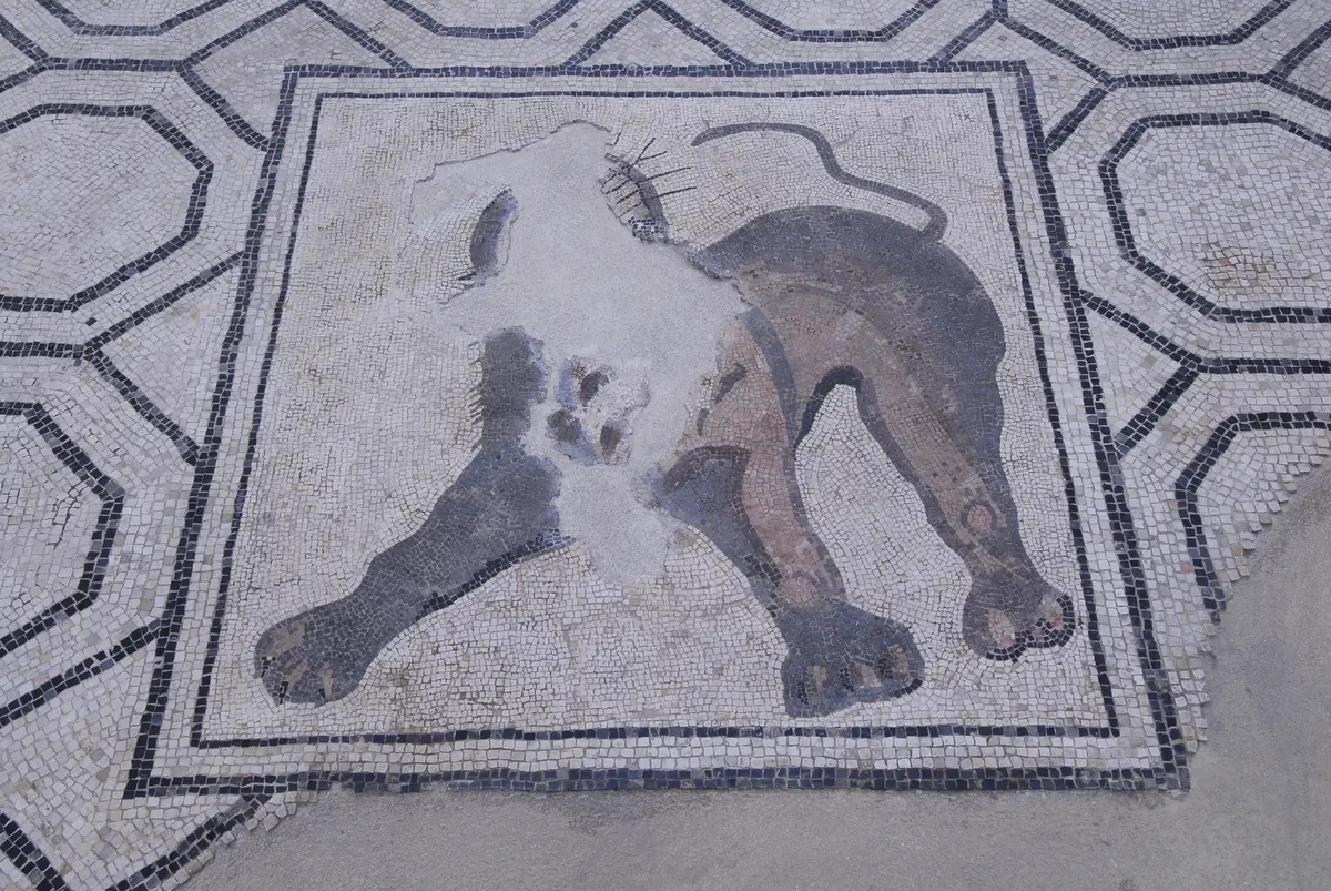Augustoritum : Sur les pas de la ville antique - Visite Guidée