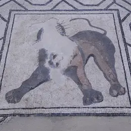Augustoritum : Sur les pas de la ville antique - Visite Guidée