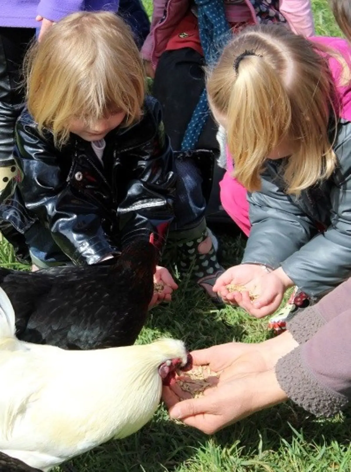 Aujourd'hui c'est toi le fermier !