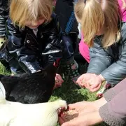 Aujourd'hui c'est toi le fermier !