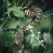 Aujourd'hui, rencontrez le photographe Quentin Bignebat !