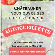 Autocueillette