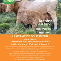 Automne à la Ferme - La Ferme de Jolie Fleur