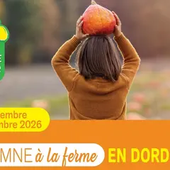 Automne à la ferme : Verger Maison Neuve