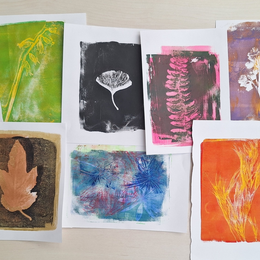 Automne de la Science : La nature comme source d'inspiration