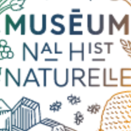 Automne de la science, quand la nature nous inspire : rencontre avec Marion Segall, spécialiste des vertébrés et des serpents