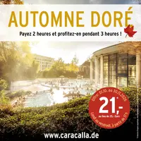 Automne doré aux thermes de Caracalla à Baden-Baden : 3h de détente au prix de 2 DR