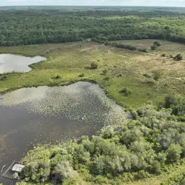 Automne en scène : Sortie nature dans les zones humides de l'étang d'Aureilhan