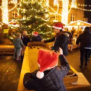 Autour du sapin : défier les géants de bois