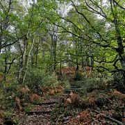 Aux couleurs de l'automne