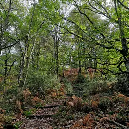 Aux couleurs de l'automne