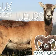 Aux Premières Lueurs…