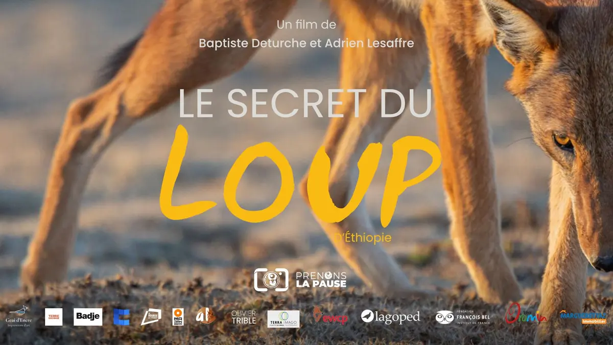 Avant-première du Secret du loup d'Éthiopie à Orbey