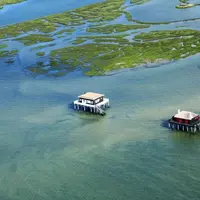Vue aérienne de l’Île aux Oiseaux, dans le bassin d'Arcachon &copy; Bassin d'Arcachon Officiel