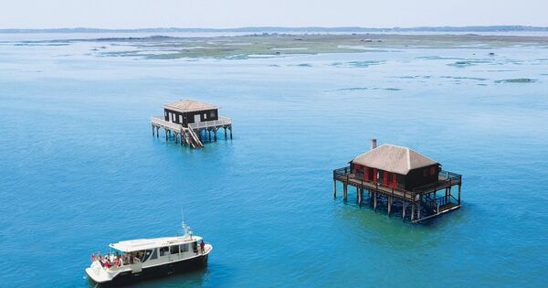 Avec ses cabanes tchanqu&eacute;es et ses eaux calmes, cette r&eacute;serve naturelle &agrave; 1h de Bordeaux donne l'impression d'&ecirc;tre au bout du monde