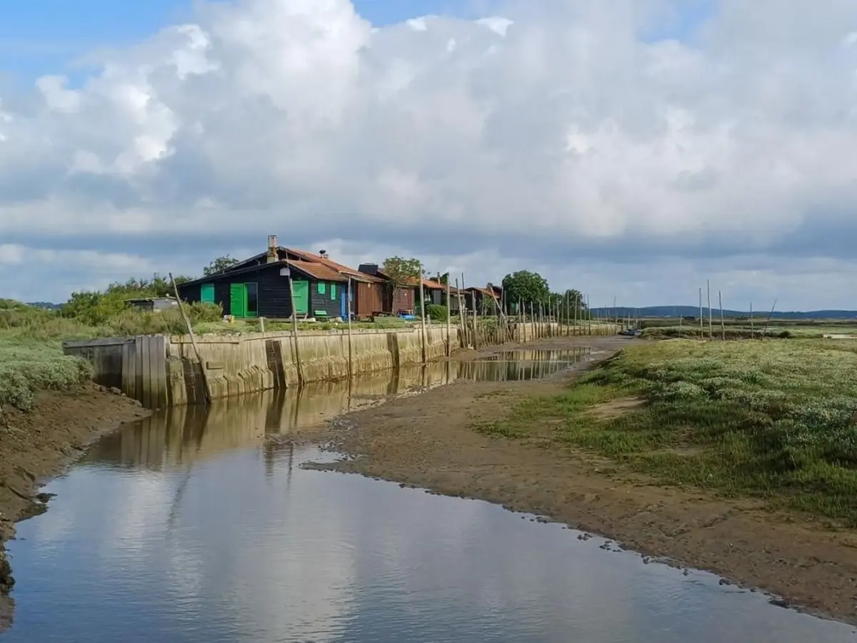L’Île aux Oiseaux, dans le bassin d'Arcachon