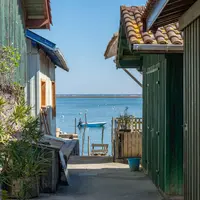 L’Île aux Oiseaux, dans le bassin d'Arcachon DR