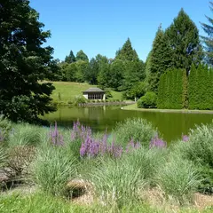 Aventuriers du parc, insectes et oiseaux à la loupe