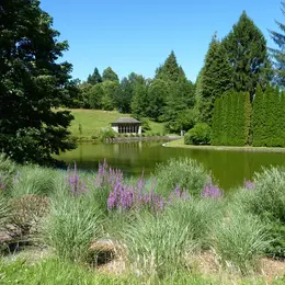 Aventuriers du parc, insectes et oiseaux à la loupe
