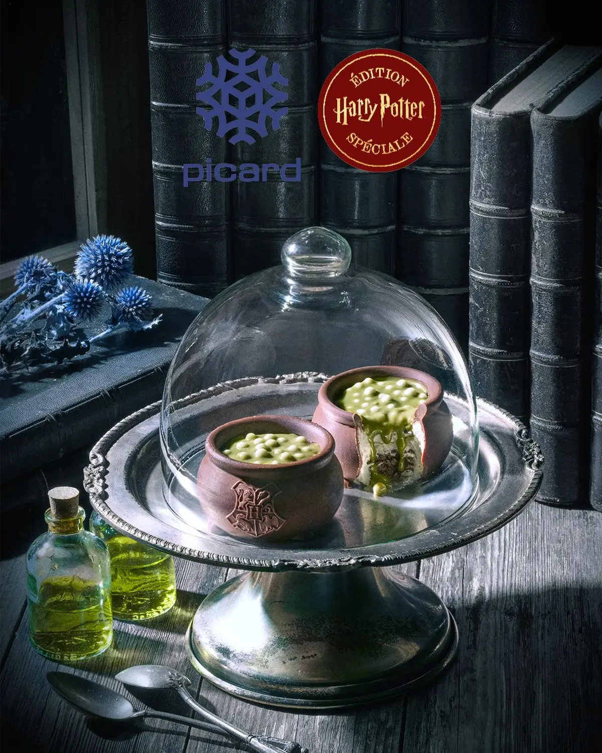 Picard x Harry Potter : ce chaudron de potion magique wahooo !
