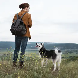 Avis d’Expert : Peut-on assurer un animal lors d’un déménagement ou voyage à l’étranger ?