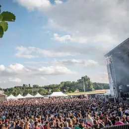 Avoine Zone Groove 2027
