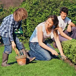 L'entretien du jardin en avril