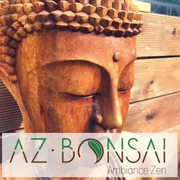AZ Bonsaï