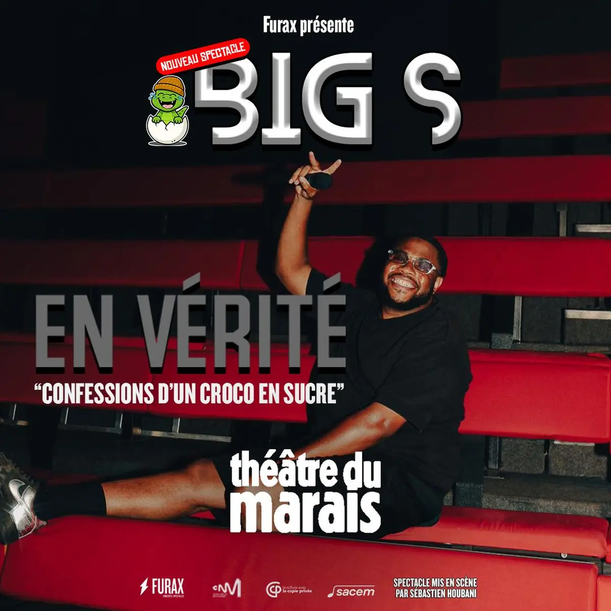 BIG S - En Vérité : Confessions d'un croco en sucre