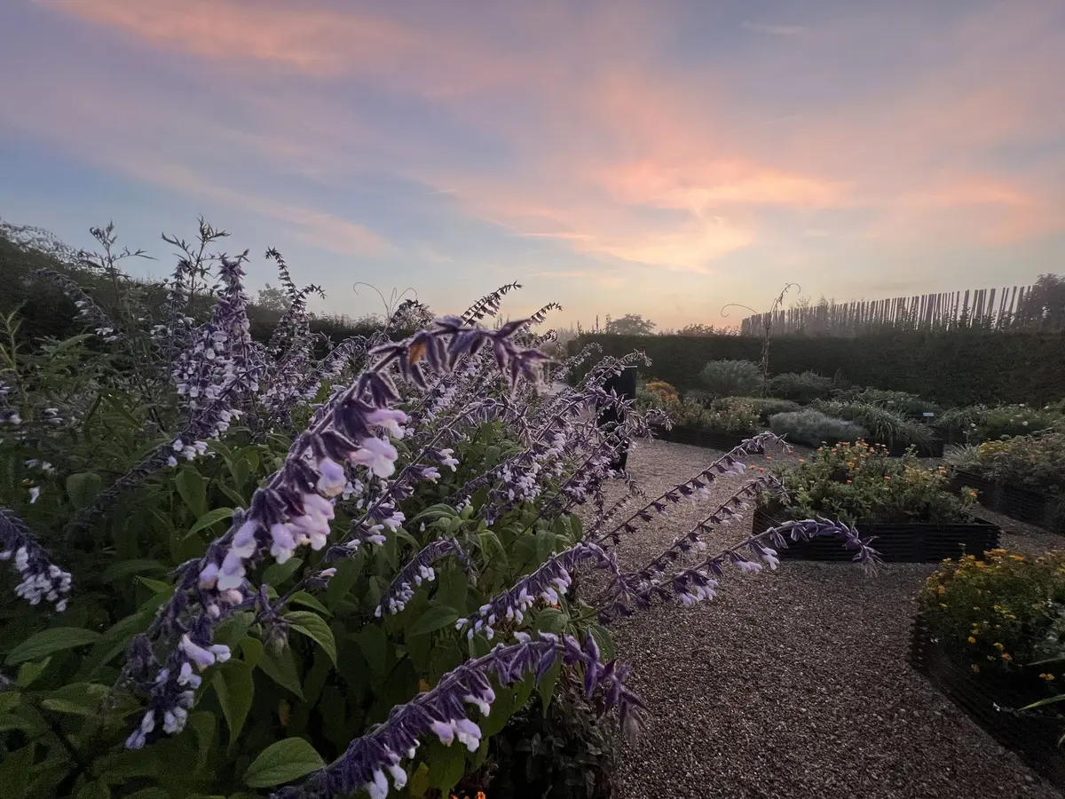 Visite guidée au crépuscule