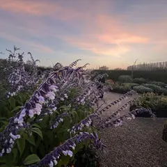 Visite guidée au crépuscule