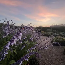 Visite guidée au crépuscule