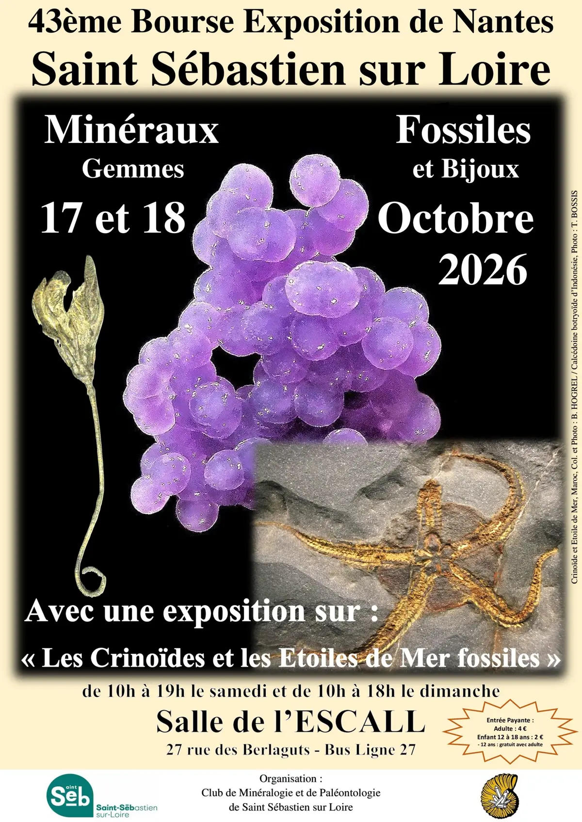 43ème bourse exposition - vente de minéraux, fossiles et pierres taillées
